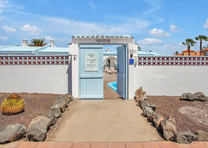 Neptuno - Adults Only *